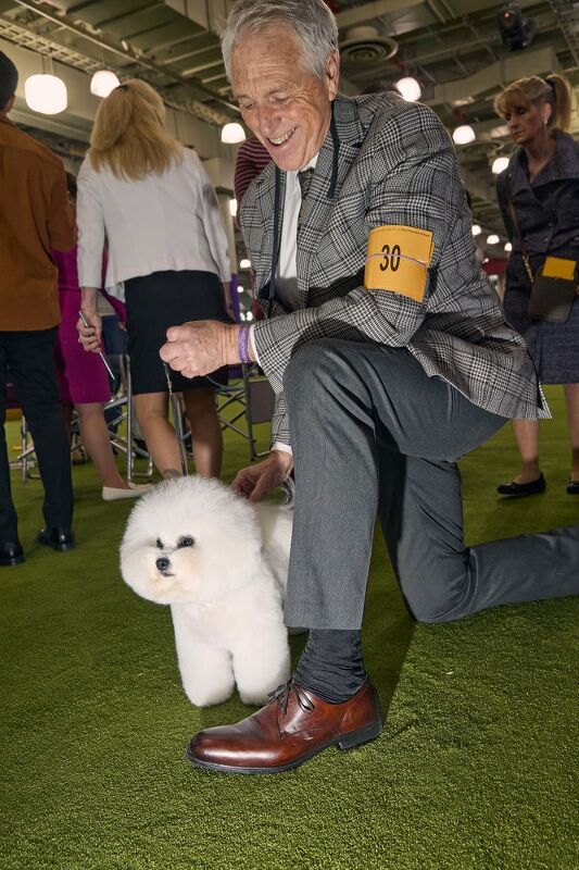 Johnston & Murphy x Westminster Kennel Club