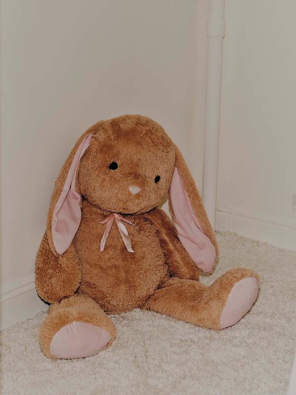 Sandeep Salter, The Financial Times