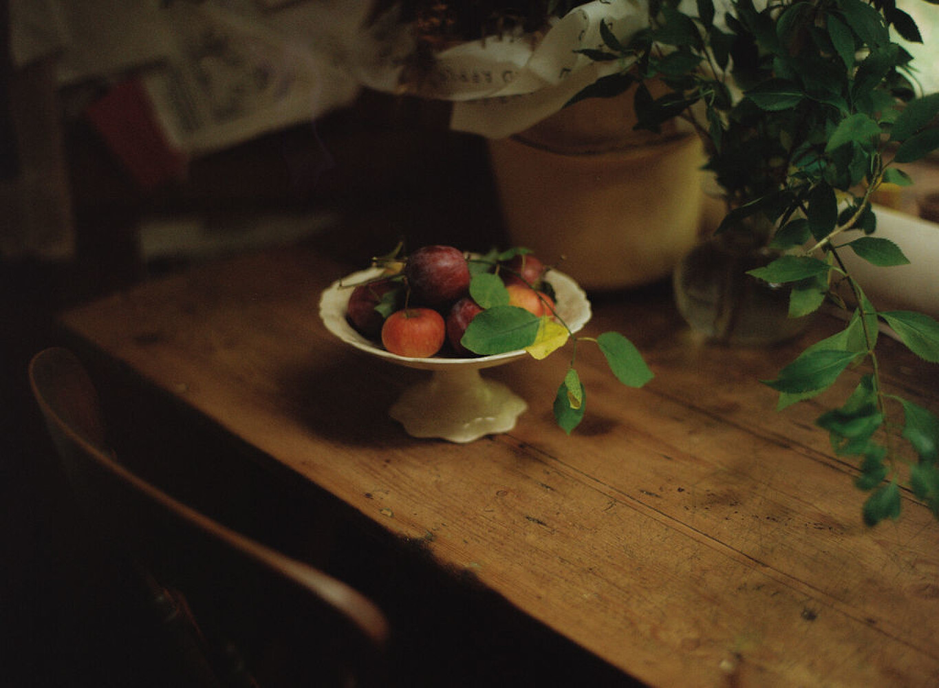 Rose Wylie, British Vogue