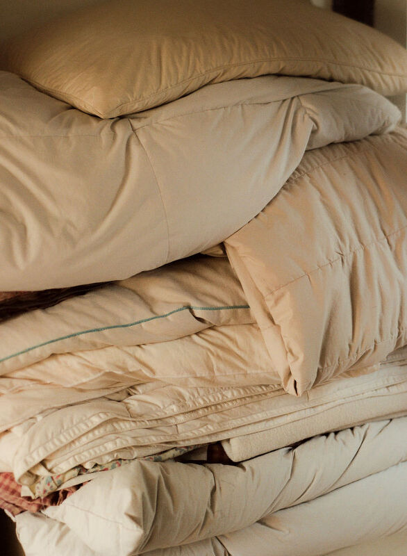 Rose Wylie, British Vogue