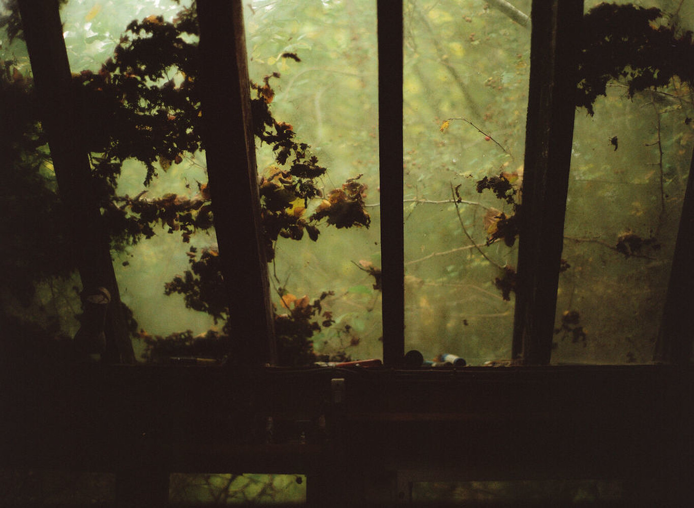 Rose Wylie, British Vogue