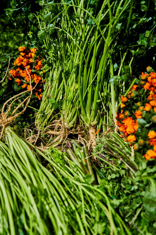 Revel: A Maximalist’s Guide to Having People Over