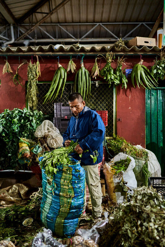 Revel: A Maximalist’s Guide to Having People Over