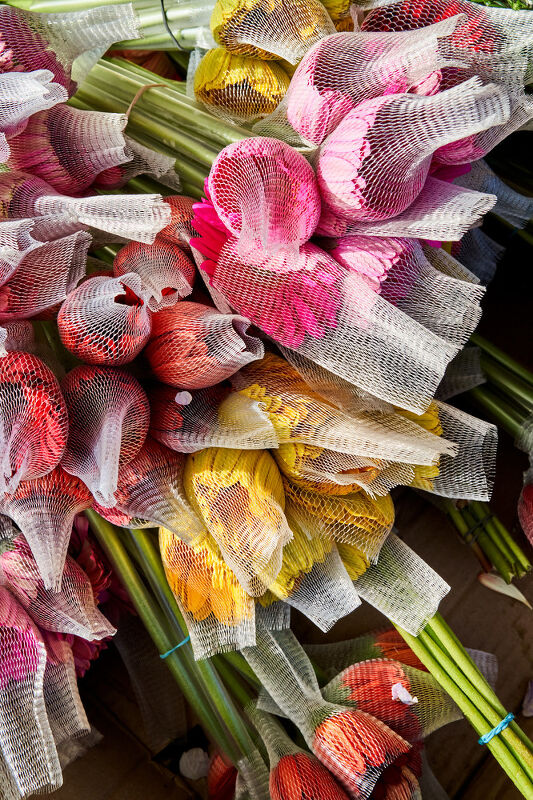 Revel: A Maximalist’s Guide to Having People Over