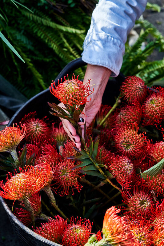 Revel: A Maximalist’s Guide to Having People Over