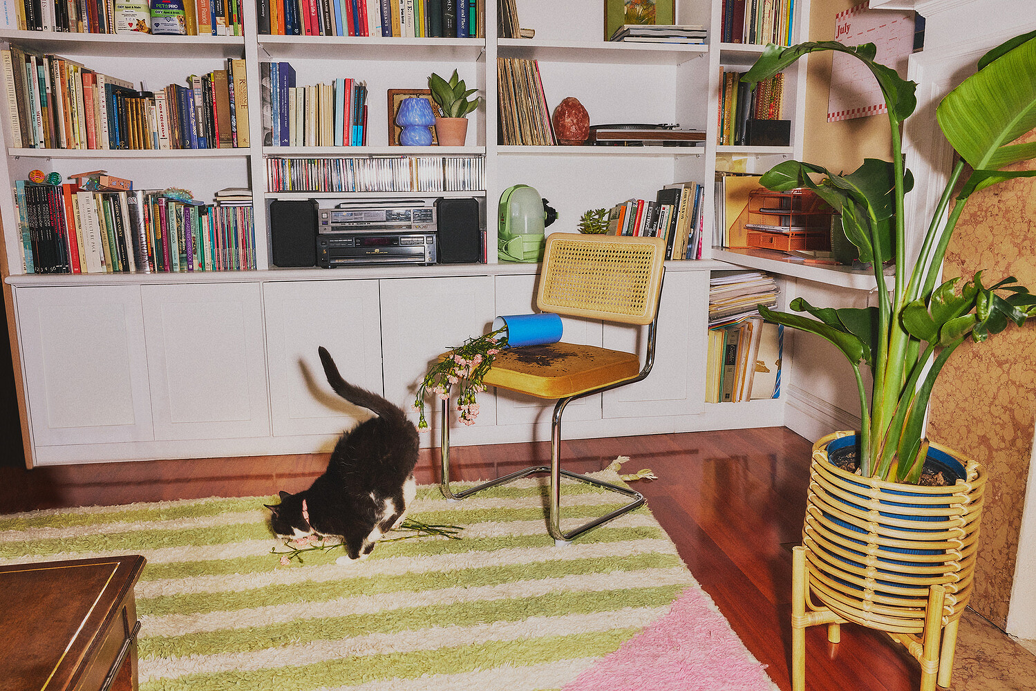 Bissell, “Mess With It”