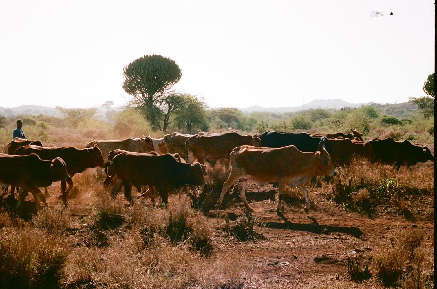 Well Aware, “SERA”