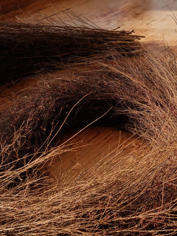 Meg Webster, T Magazine