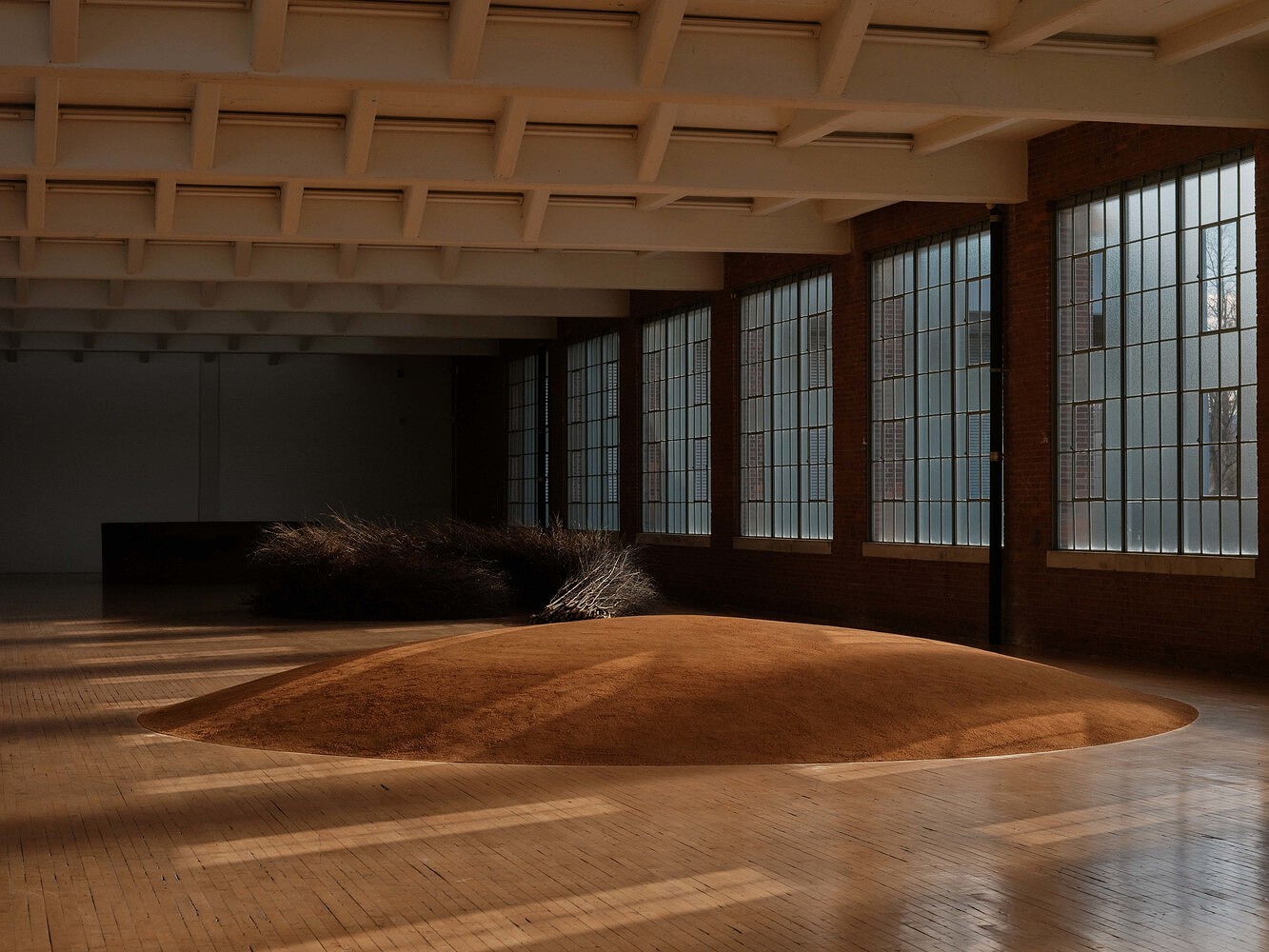 Meg Webster, T Magazine