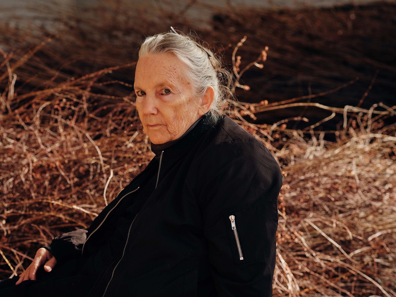 Meg Webster, T Magazine