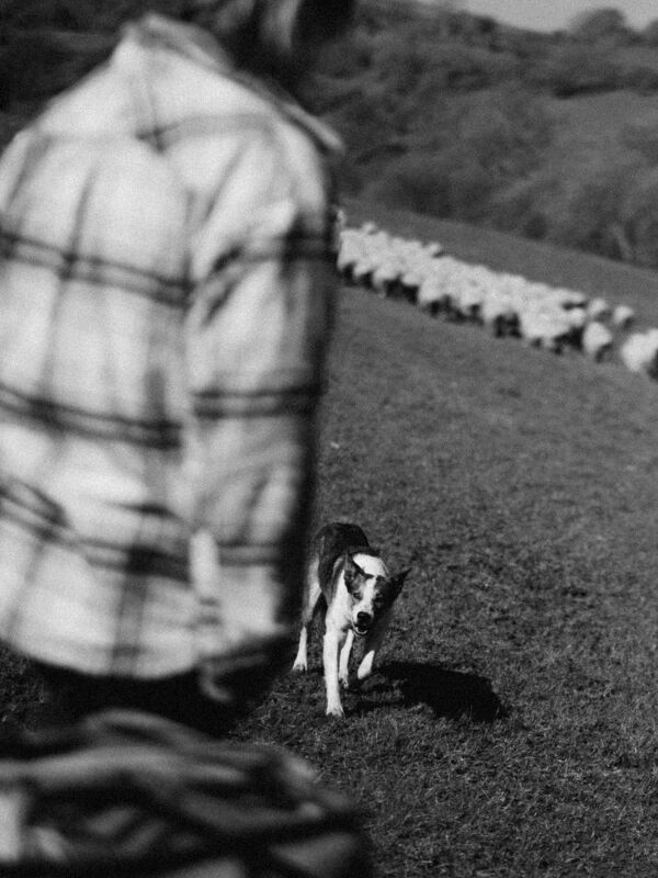 Hill Farm