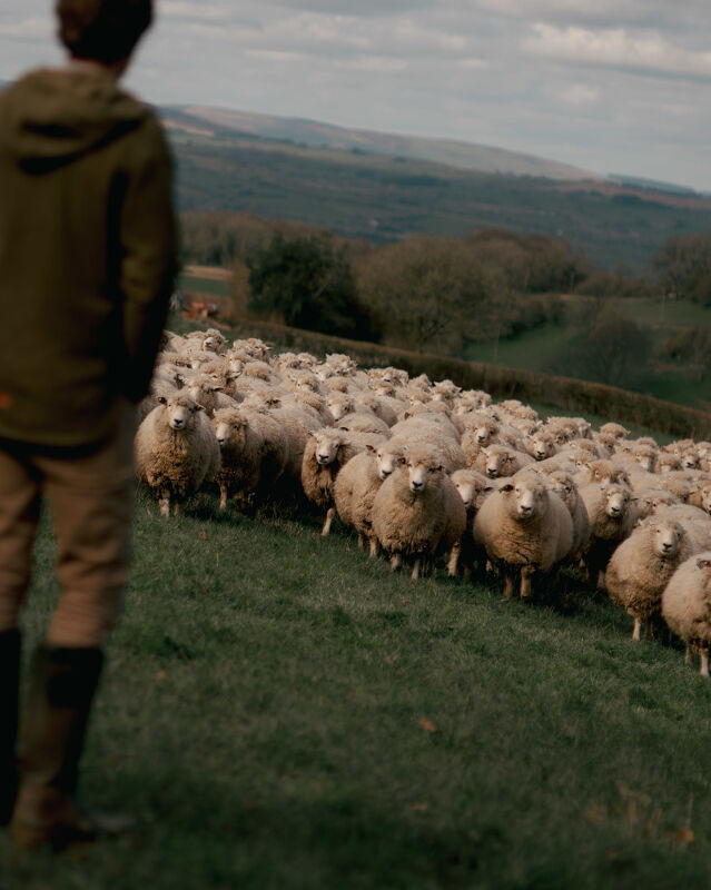 Finn Beales