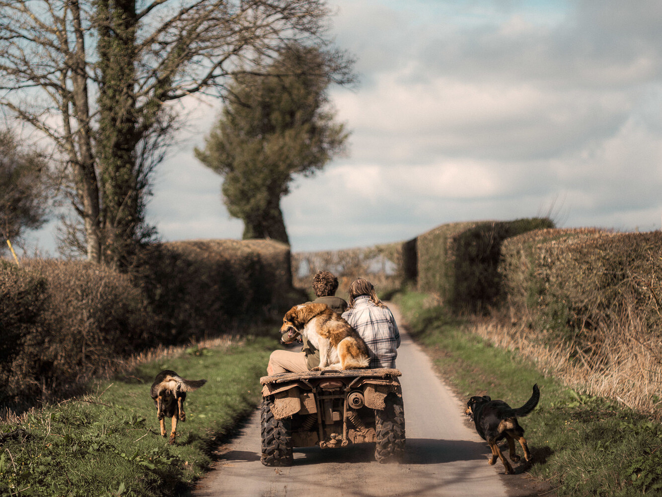 Finn Beales