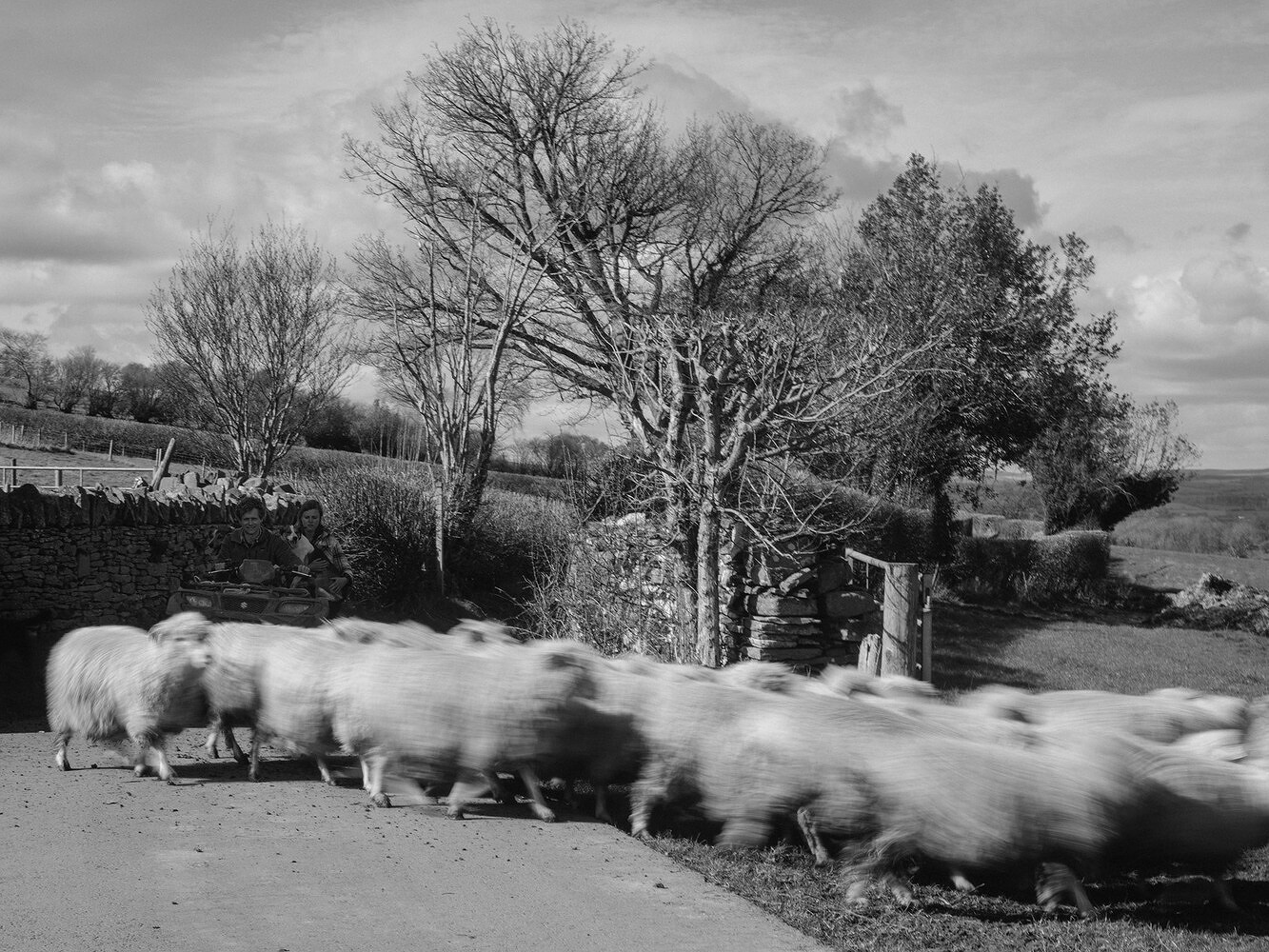 Hill Farm