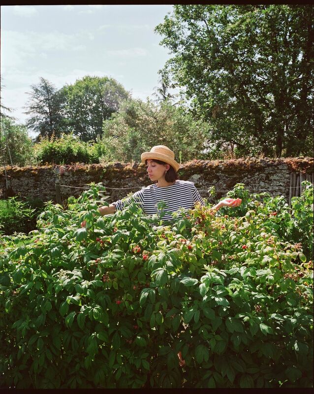 Cake From Lucie, A Cookbook by Lucie Franc de Ferriere