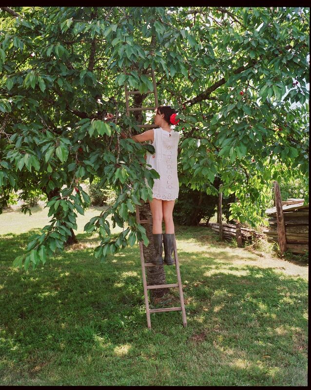 Cake From Lucie, A Cookbook by Lucie Franc de Ferriere