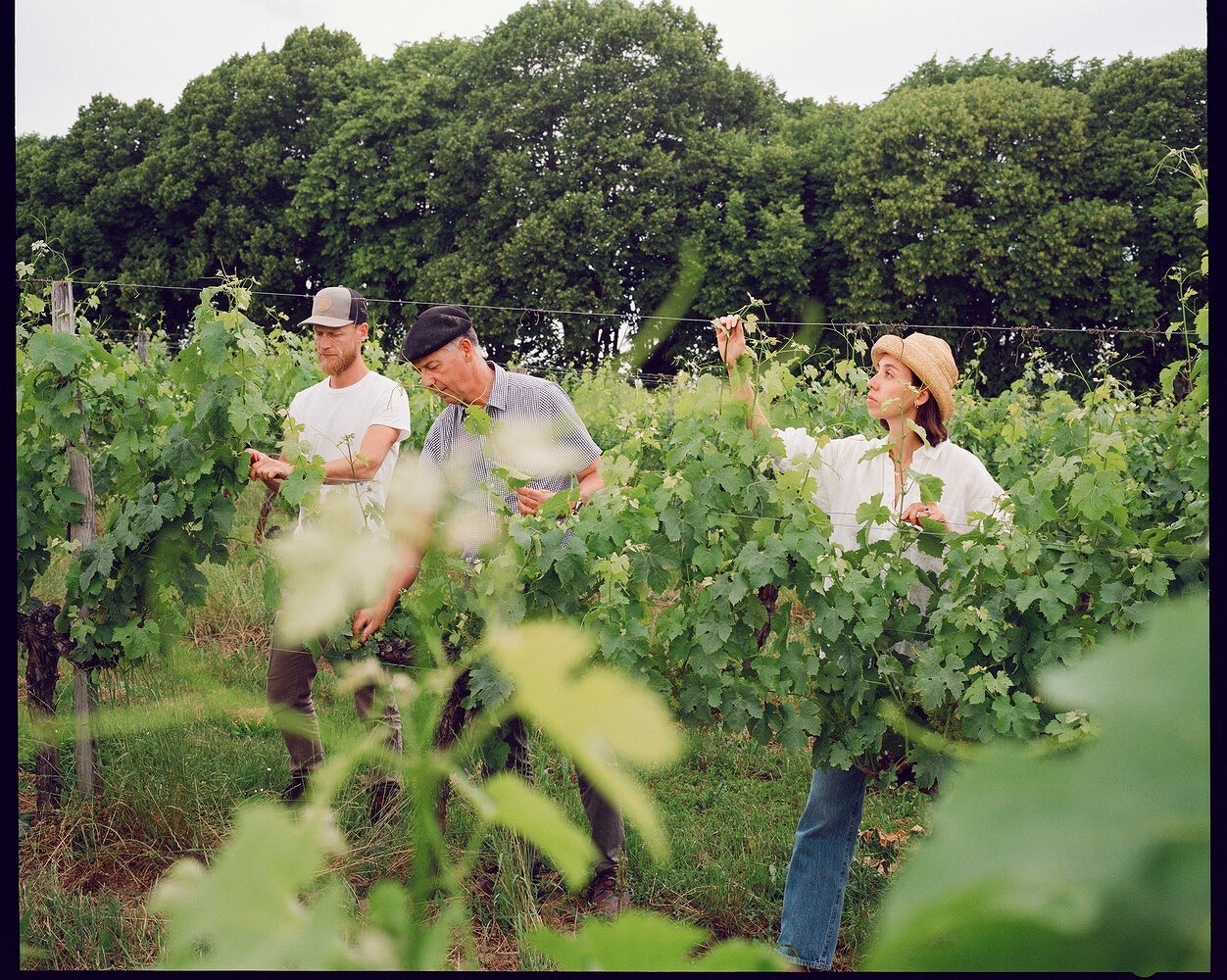 Cake From Lucie, A Cookbook by Lucie Franc de Ferriere