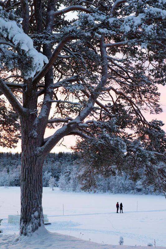 Exclusive Resorts Norway