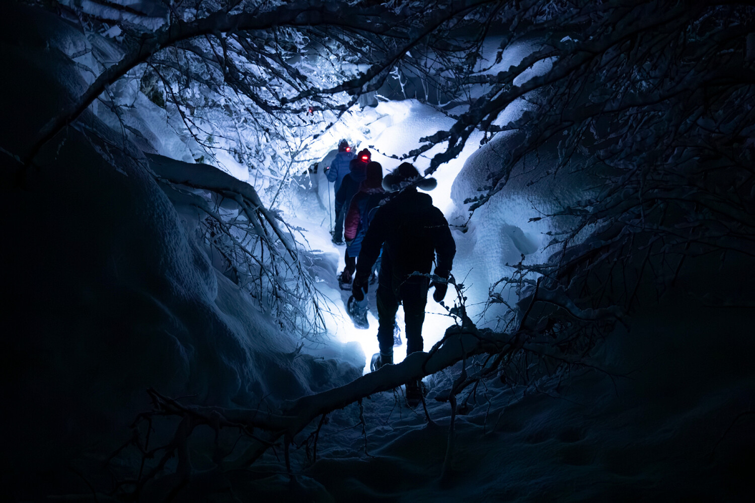 Exclusive Resorts Norway