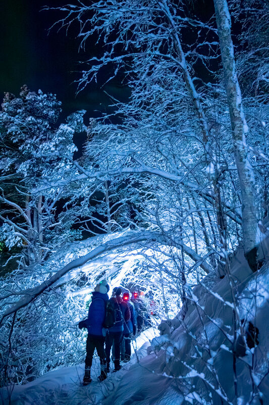 Exclusive Resorts Norway