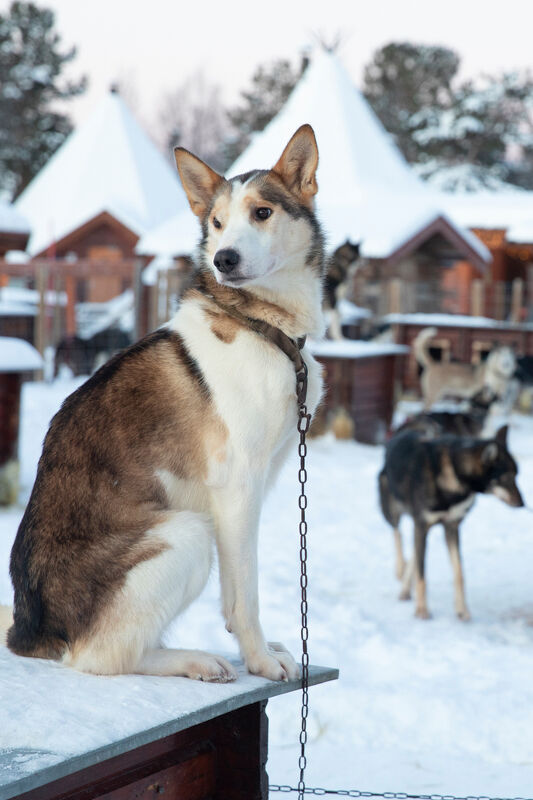 Exclusive Resorts Norway