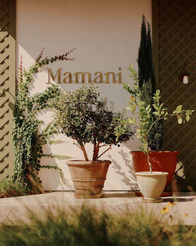 Mamani x Bryan O’Sullivan