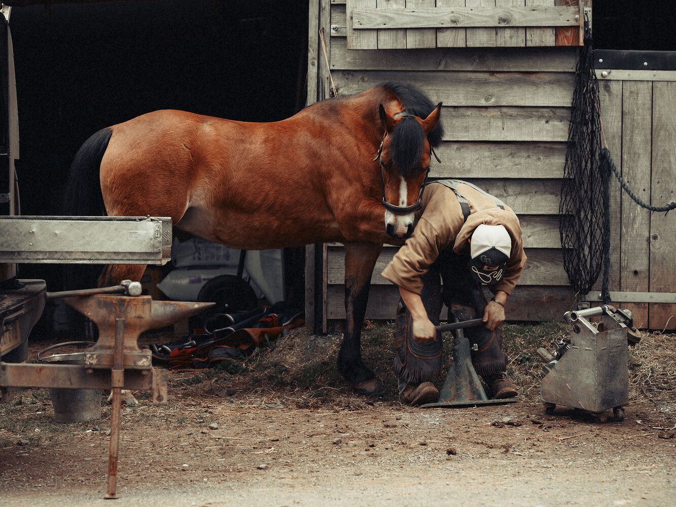 Sam Archer – Farrier