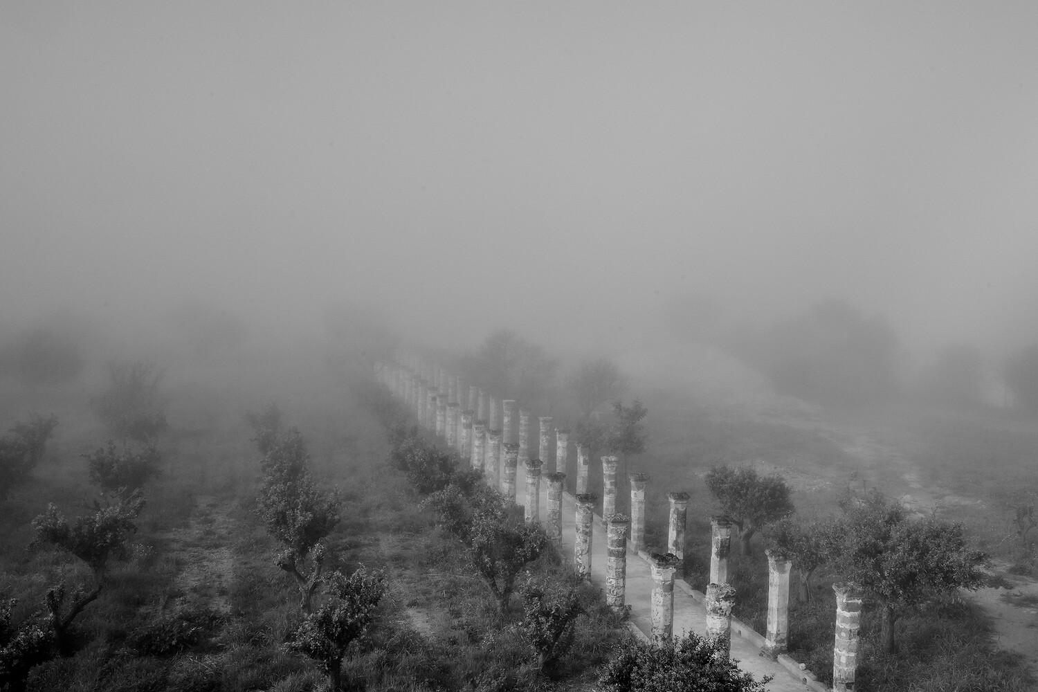Puglia