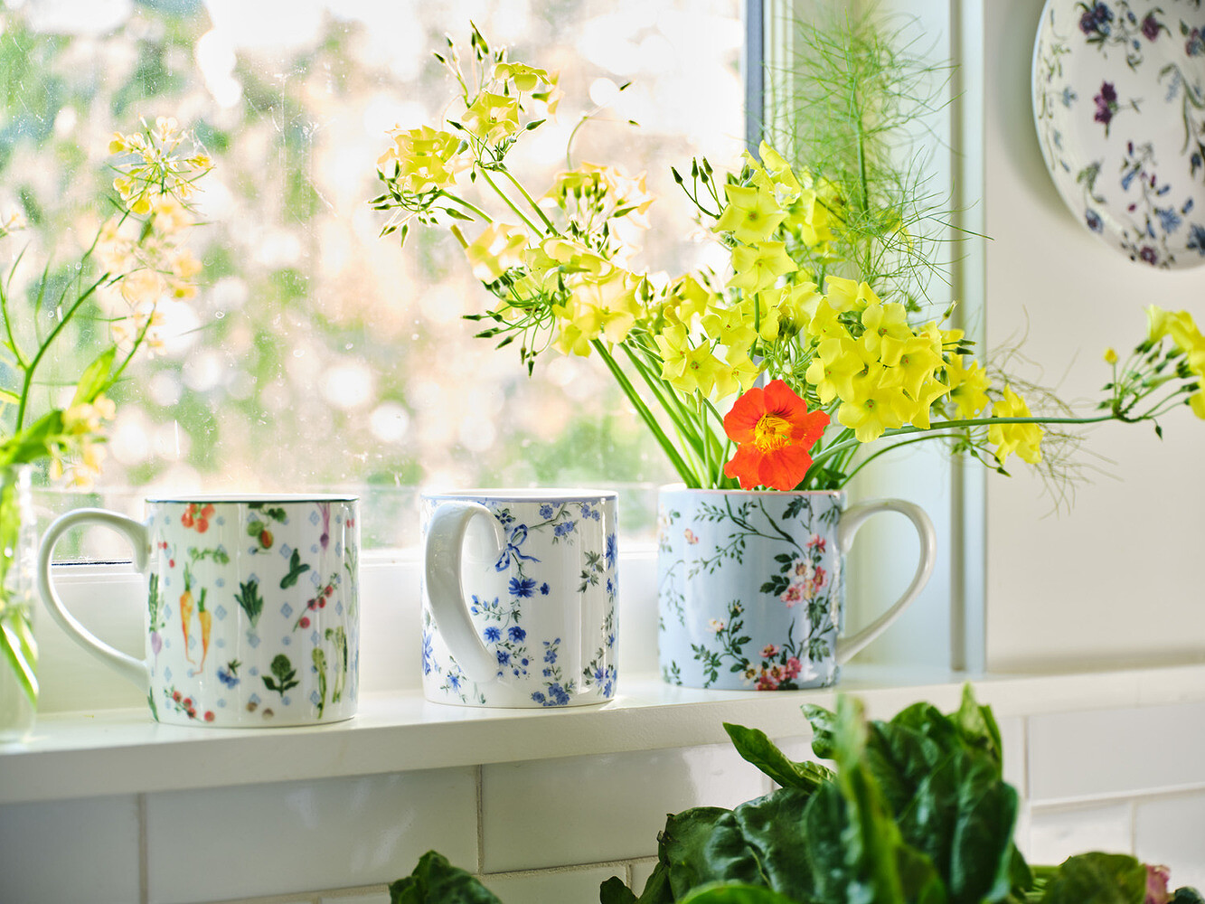 Williams Sonoma x Nell Diamond