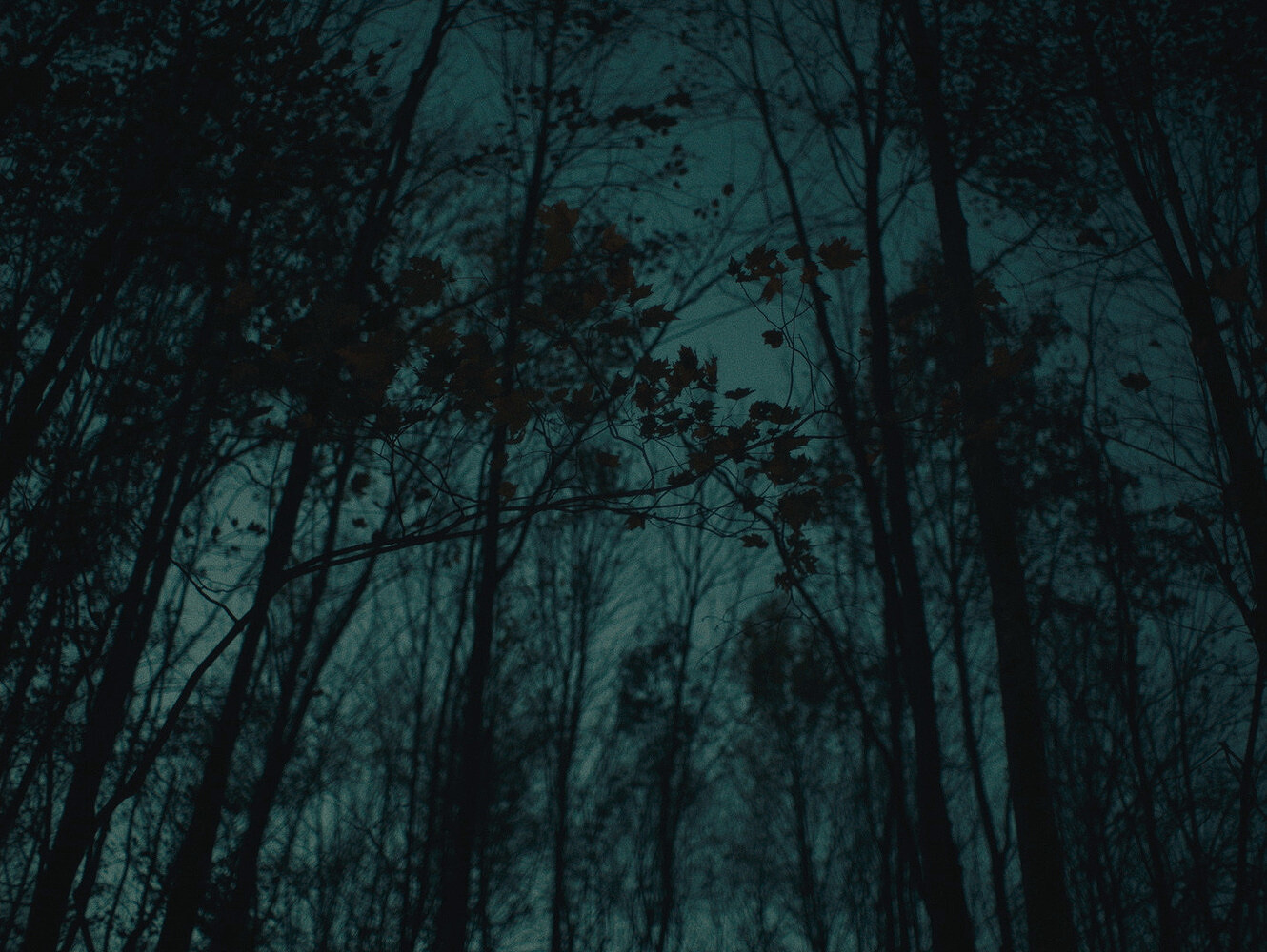 Stills from December 