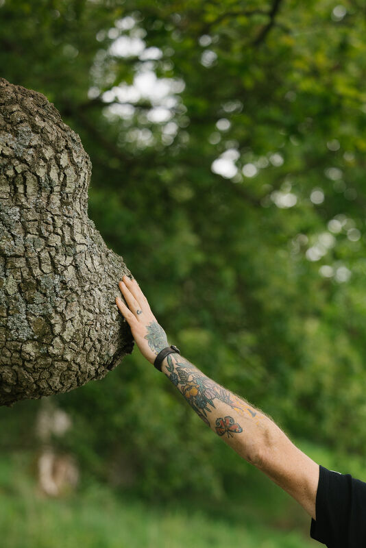 Rewilding Britain