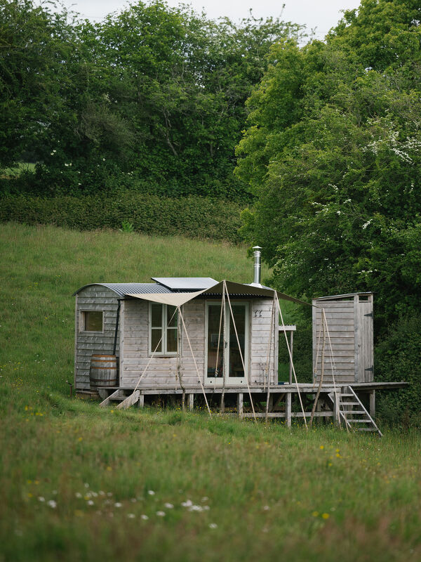 Rewilding Britain