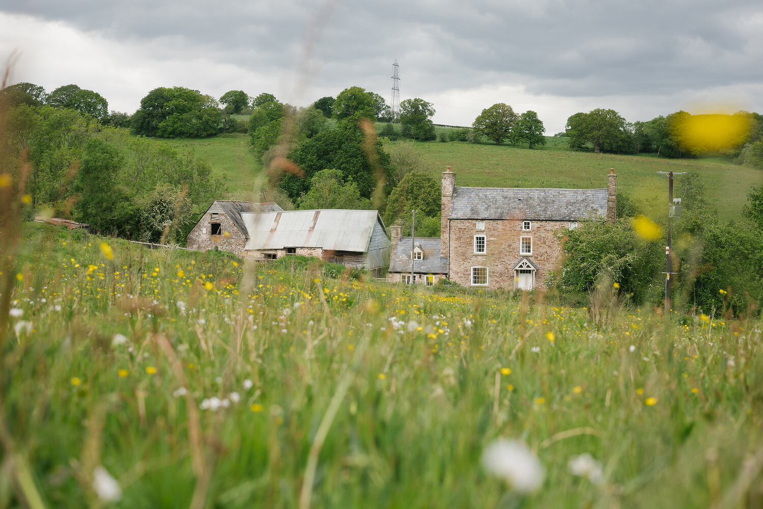 Rewilding Britain