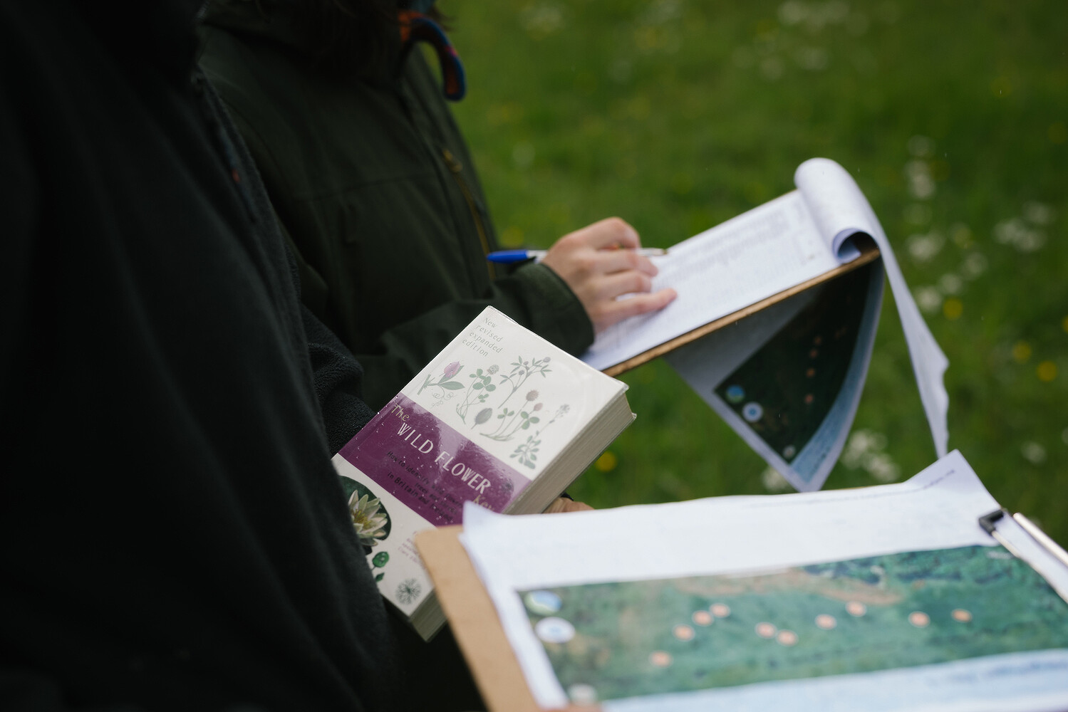 Rewilding Britain