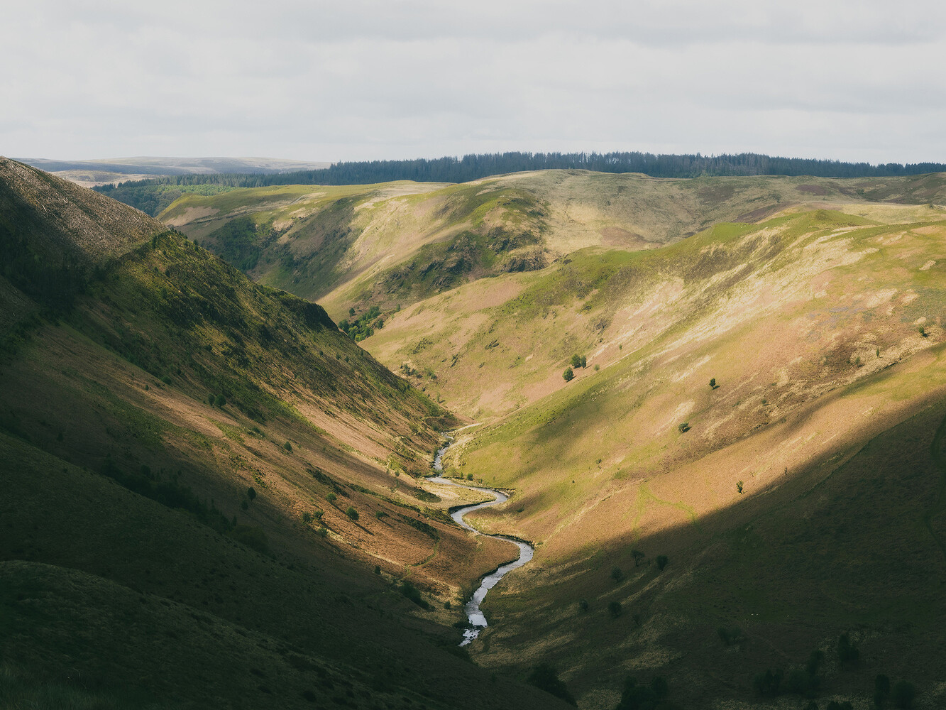 Finn Beales