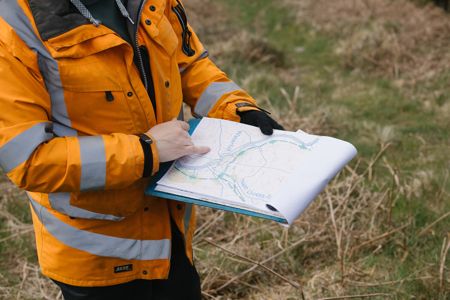 Rewilding Britain