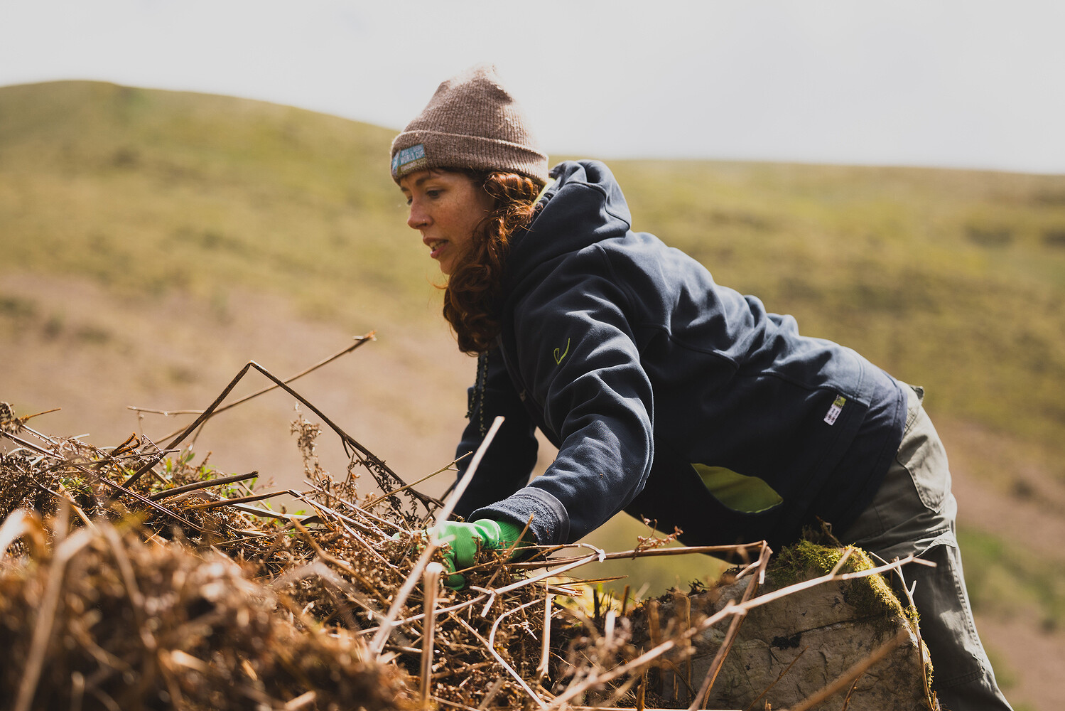 Rewilding Britain