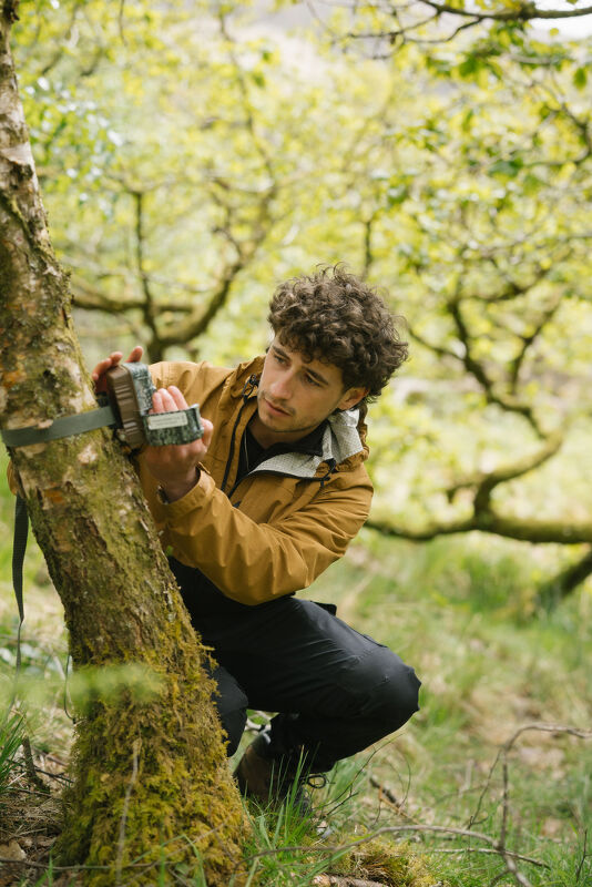 Rewilding Britain