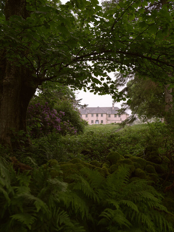 House & Garden