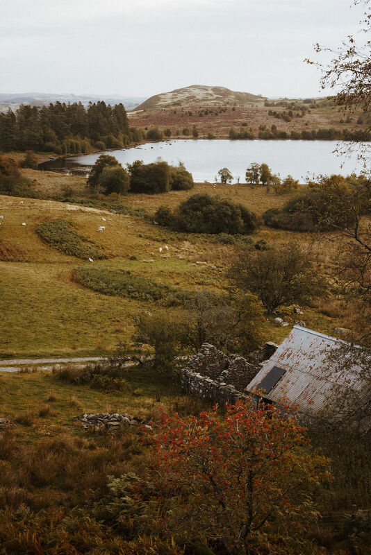 Rollo, The Modern House