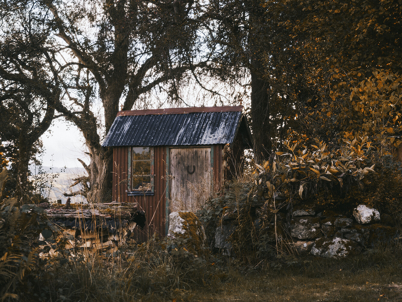 Rollo, The Modern House