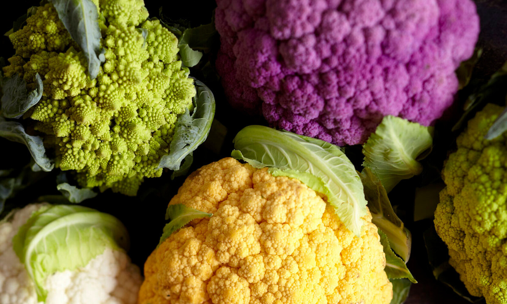 Brassicas: Cooking the world’s healthiest vegetables 