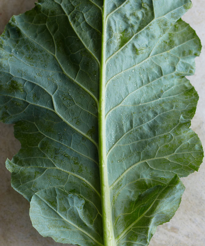 Brassicas: Cooking the world’s healthiest vegetables 